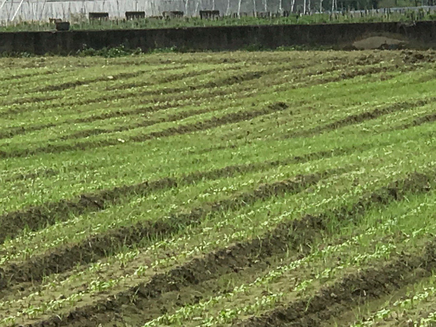 美濃田中央旅宿景色