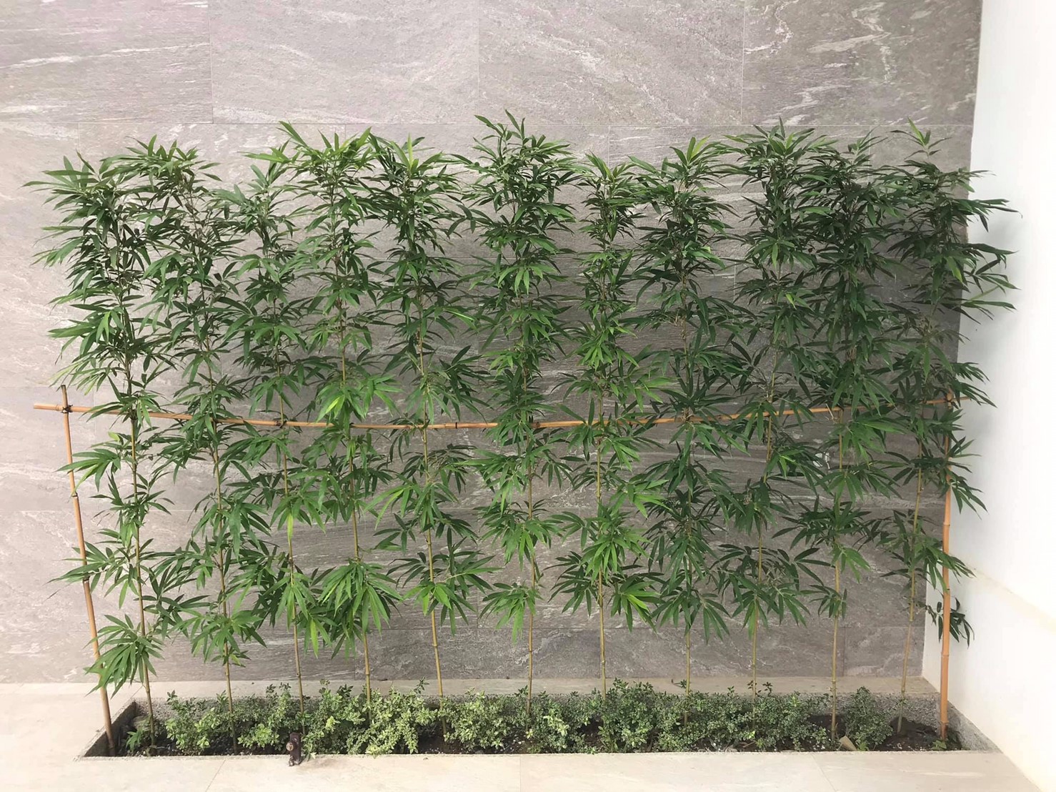 美濃田中央旅宿景色