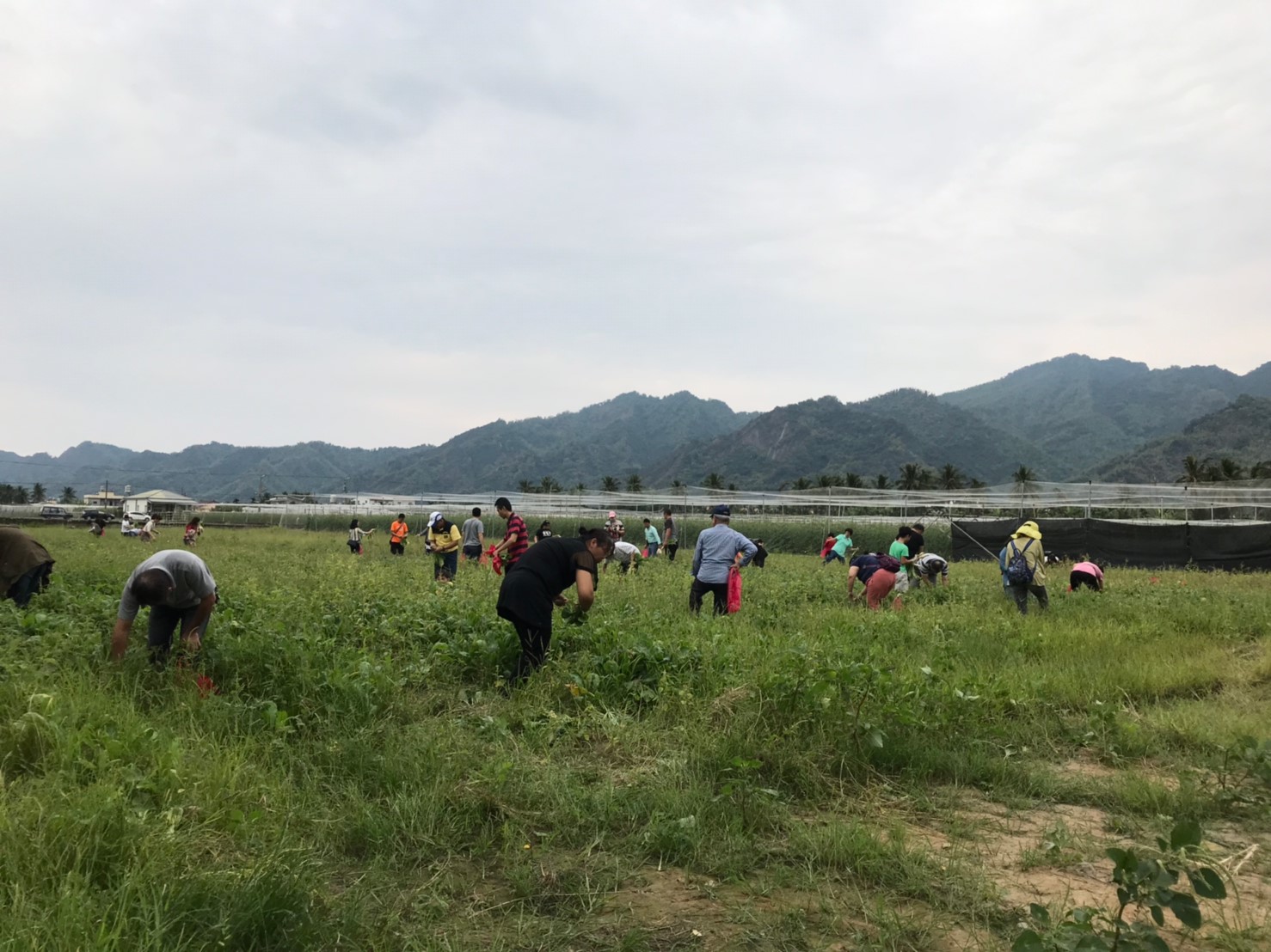 美濃田中央旅宿景色